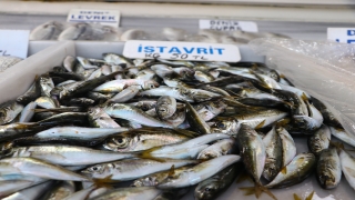 İstavrit Tekirdağ’da tezgahları süslemeye başladı