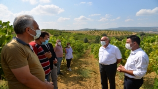 Bilecik’te ”Tarımsal Üretimin Artırılması Projesi” kapsamında üzüm bağları incelendi