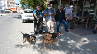 Bayramiç’te av köpeklerine kuduz aşısı yapıldı