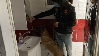 Balıkesir’de uyuşturucu operasyonunda 8 şüpheli yakalandı