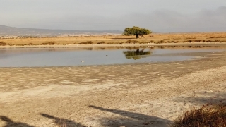 Enez’de kuruyan lagün göllerine su verildi