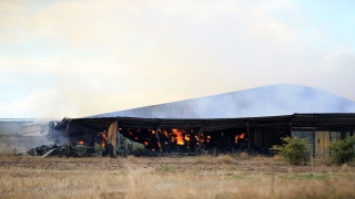 Kırklareli’nde besi çiftliğindeki yangını söndürme çalışmaları sürüyor