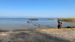 Kocaeli’de amatör balıkçılar en büyük balığı tutmak için yarışıyor
