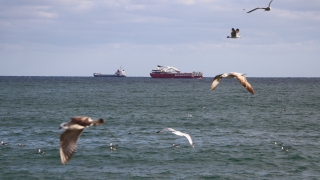 Marmara Denizi’nde ulaşıma poyraz engeli