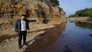 Zeytinin kara suyu ve pirinasının ekonomiye kazandırılması önerisi
