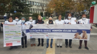 Hayvanseverlerden Kadıköy Belediye Başkanı Odabaşı’na dilekçe