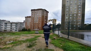 Tuzla Belediyesi sokak hayvanları için mama seferberliği başlattı