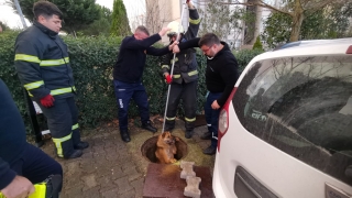 Kocaeli’de üstü açık rögara düşen köpeği itfaiye kurtardı