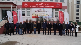 Balıkesir Büyükşehir Belediyesinden üreticiye meyve fidanı desteği