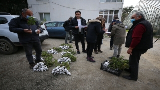 Türkiye’nin en büyük adası ”damla sakızı” üretim merkezi oluyor