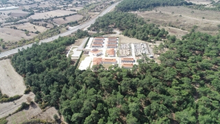 Sokak hayvanları Balıkesir’deki modern merkezde bakılıyor