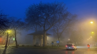 Edirne’de yoğun sis etkili oluyor