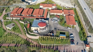 Kocaeli’deki sokak hayvanları kasabası tehlikeli tür köpeklere yuva oldu
