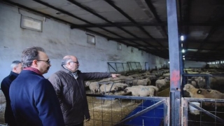 Bilecik Valisi Kızılkaya, Osmaneli’nde ziyaretlerde bulundu