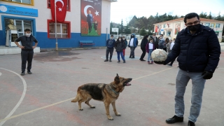 Öğrenciler ”Pele” isimli sokak köpeğiyle derse girip oyunlar oynuyor