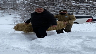 Sakarya ve Düzce’de hayvanlar için doğaya yiyecek bırakıldı