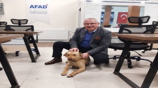 Yalova Valiliği kentteki karla mücadele çalışmalarını değerlendirdi