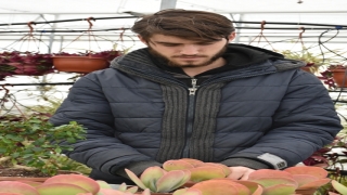 Lise öğrencileri ”Bereket Bahçesi”nde her mevsim süs bitkisi üretiyor