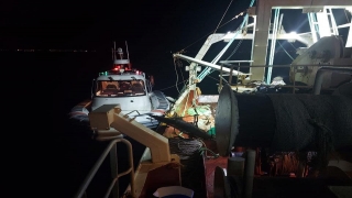 Balıkesir’de kaçak avlanan deniz patlıcanları denize bırakıldı