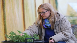 Tıbbi ve aromatik bitki fidesi bulmakta zorlanan kadın, girişimci oldu