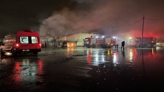 Sakarya’da kereste fabrikasında çıkan yangın kontrol altına alındı 