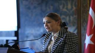 Yetenekli Göçmenler/Yüksek Nitelikler ve Ekonomik Kalkınma Çalıştayı İstanbul’da yapıldı