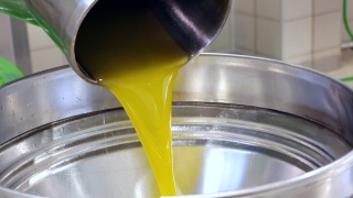 Ulusal Zeytin ve Zeytinyağı Konseyi Başkanı Tan’dan zeytinyağı stokuna ilişkin açıklama: