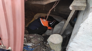 Edirne’de kaybolan yaşlı kadını AFAD ve jandarma ekipleri buldu