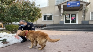 Kar yağışında sığındığı karakol yeni yuvası oldu