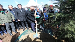 Mudanya’da ağaçlandırma sahasına fidan dikildi