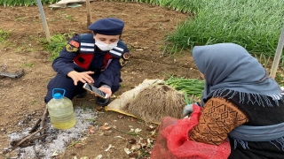Bilecik’te jandarma ekipleri ”KADES” uygulamasını tanıttı