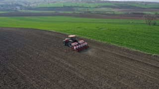 Türkiye’nin önemli ayçiçeği üretim merkezlerinden Edirne’de ekim mesaisi başladı
