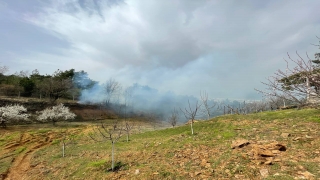 Bursa’da ormanlık alanda yangın çıktı