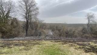 Kocaeli’de boş araziden ağaçlık alana sıçrayan yangın söndürüldü
