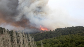 GÜNCELLEME Bursa’da ormanlık alanda çıkan iki yangına müdahale sürüyor