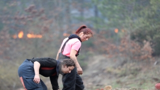 GÜNCELLEME 2 Bursa’da ormanlık alanda çıkan yangınlara müdahale ediliyor