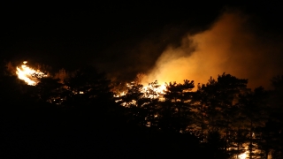 GÜNCELLEME Çanakkale’de orman yangınına müdahale ediliyor