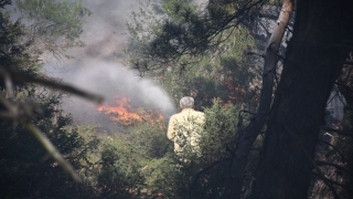 Bilecik’te orman yangınının kontrol altına alındığı bölgede soğutma çalışması sürüyor