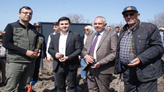 ”Manyas Şehitleri ve Gazileri Ormanı”na 2 bin fidan dikildi