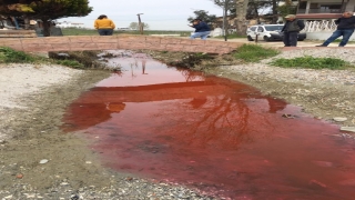Tekirdağ’da Kamara Deresi renk değiştirdi 