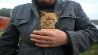 Taşkın bölgesinde ıslanan kedi yavrusunu ceketinde ısıttı