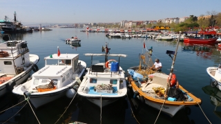 Tekirdağ’da küçük tekne balıkçılarının avladığı sardalya tezgahları süslüyor 