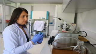 Sıvı ürünler pastörizasyon yerine ultraviyole ışınlarıyla dezenfekte edilebilecek