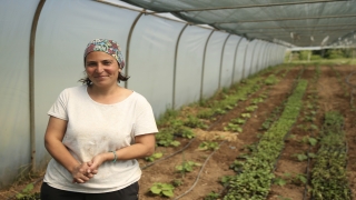 Köyüne yerleşen Necla hemşire atıl arazileri tarıma kazandırdı