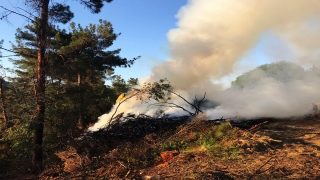 Çanakkale’de orman seyrekleştirme çalışmasında iş makinası yandı