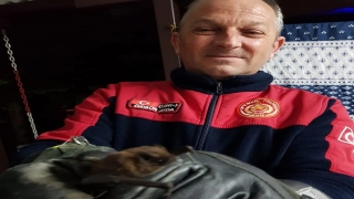 Çiftlikköy’de itfaiye ekipleri mahsur kalan kedi ve yarasayı kurtardı