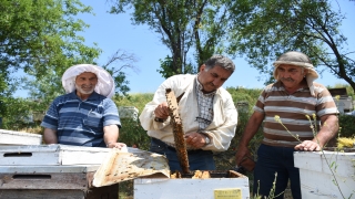 Bilecikli arıcı kaliteli bal üretmek için 22 yıldır kovanlarını taşıyor