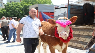 Sakarya’da küçük ve büyükbaş hayvanlar ”en güzel” seçilmek için yarıştı 