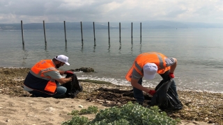 Yalova’da Altınova sahilindeki Hersek Plajı’nda çevre temizliği yapıldı