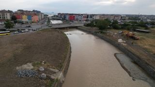 Silivri’deki Boğluca Deresi’nde toplu balık ölümlerinin nedeni araştırılıyor